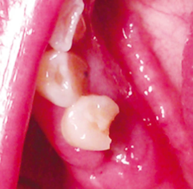 268_CienciaMarchena